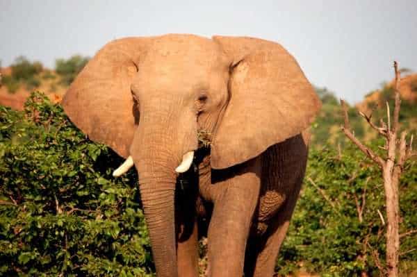 SADC - November 2024 - Image 17